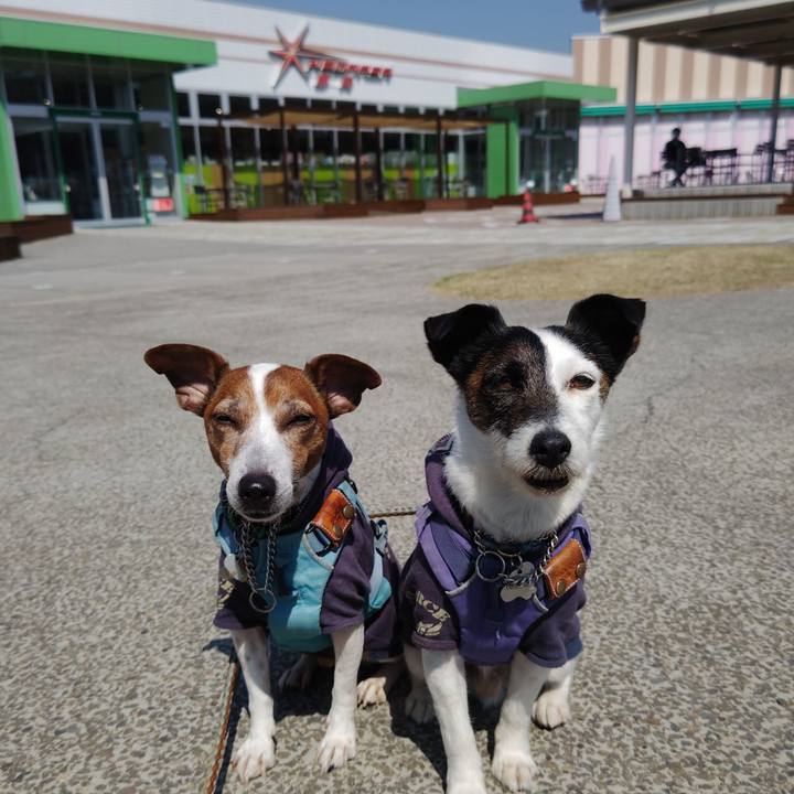 88deecb3 3cb5 44f9 9308 700780acfe92 1742709216987