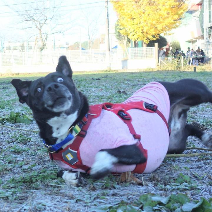 88def208 75c2 4bd1 afc6 f55a601c0551 1670463916452