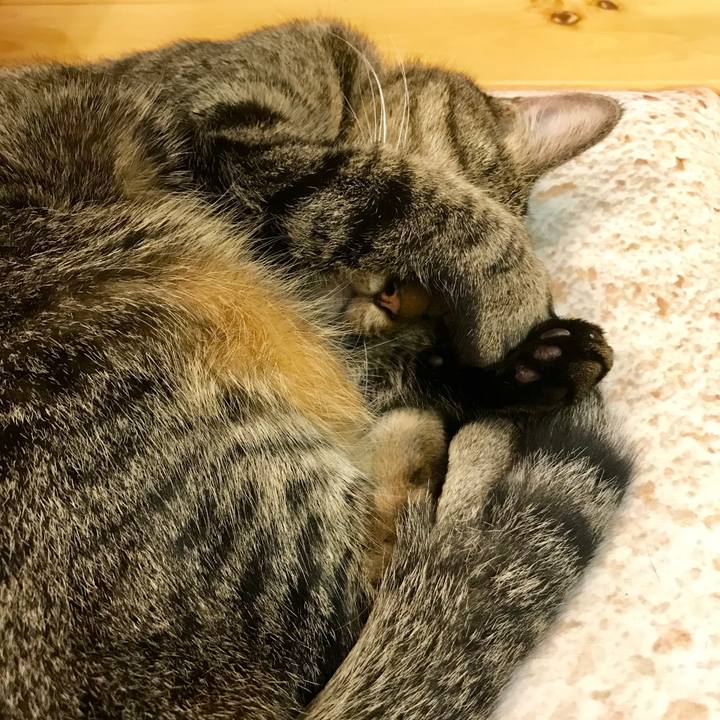 88df0339 0bac 4cd4 98f8 d4a092783951 1539737589852