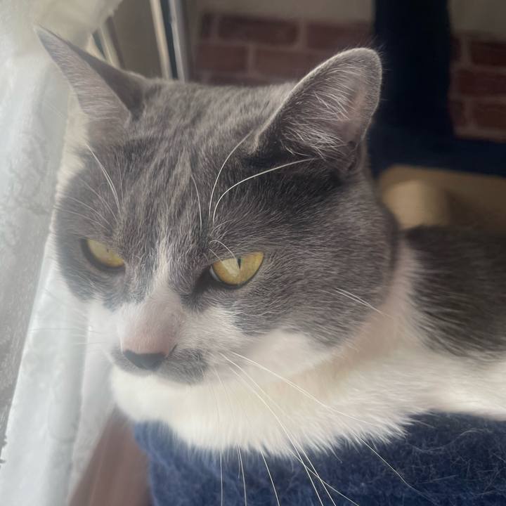 88df1009 e730 4552 9708 98cb0b7cd851 1650329962595