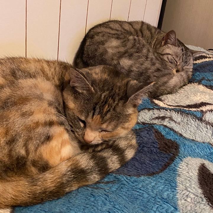 88df8aa3 2e23 48e8 b14c 4ae714e43ac1 1582632048479