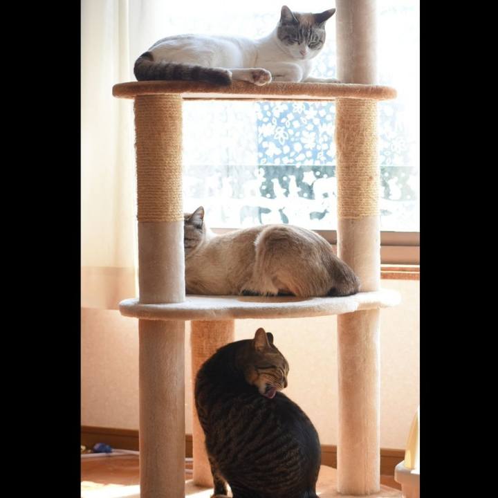 88dfac0c 762f 4ae3 b72e 91ad056f64ba 1552797276635