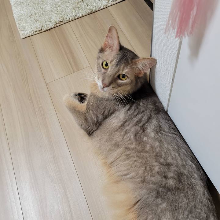 88dfb25c 8f8e 4d95 a0c8 36613212e9dd 1631402251089