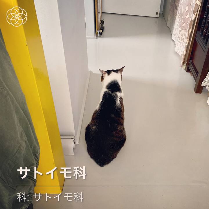 88dfddf7 26cd 4b68 9eec fa4eda0b3e5c 1594535558014