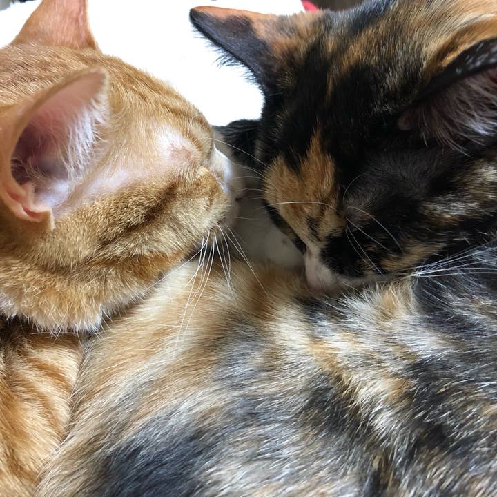 88dfedd7 1e40 4933 8255 fdf489891285 1549976882232