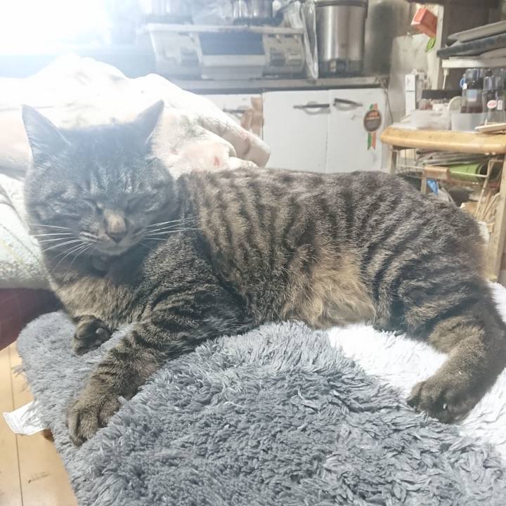 88dffc83 4c51 4572 bc3c bacd9565f451 1649727530494