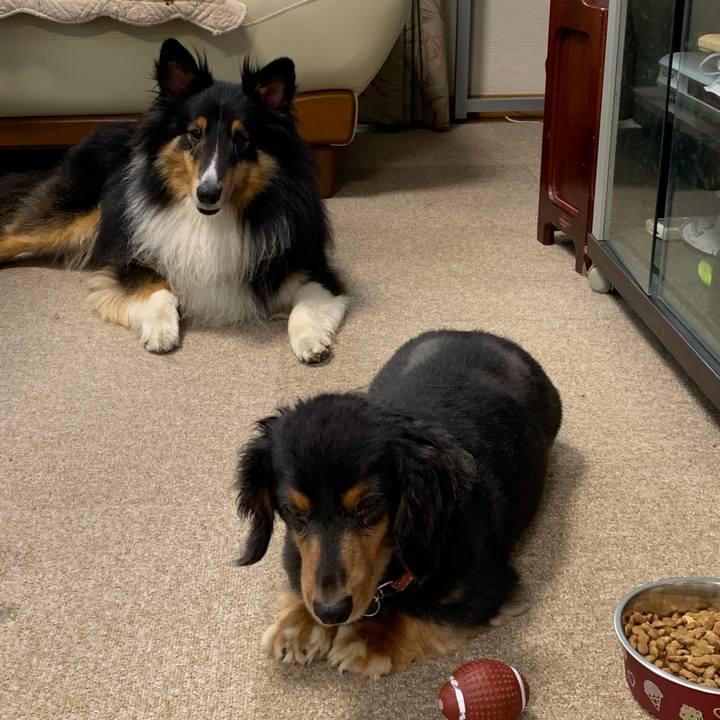 88e00fe2 86e8 4e9d 89d8 f5ffa9fe1ed6 1564268455589