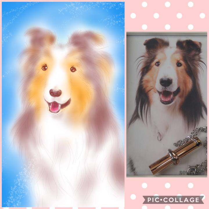 88e02519 d4aa 418e bafb 93b688806ada 1547595915073