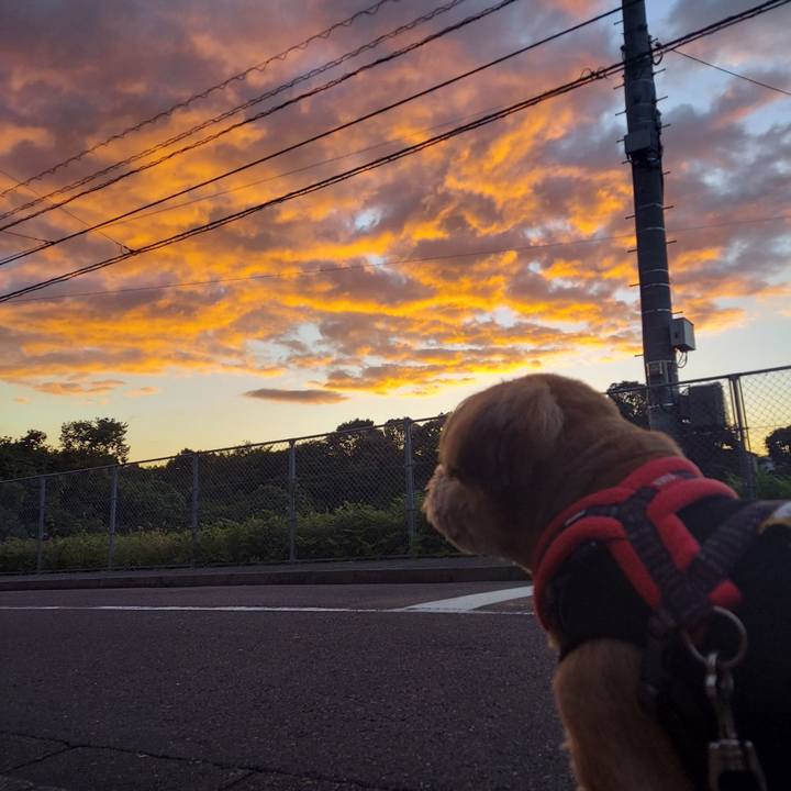 88e0334e 5e8c 4200 bdff f662341506f3 1666130288689