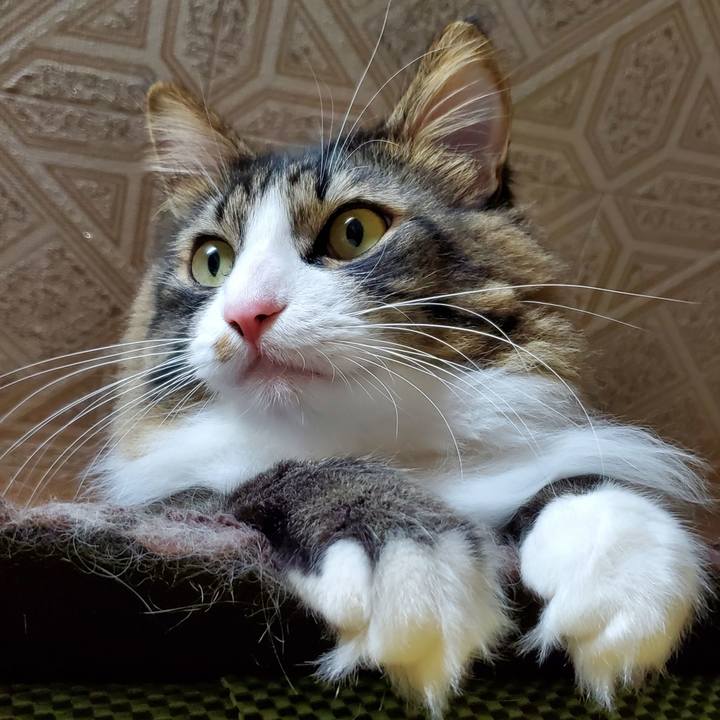 88e0819d d210 48e1 a792 24e4d1ae6428 1732860605459