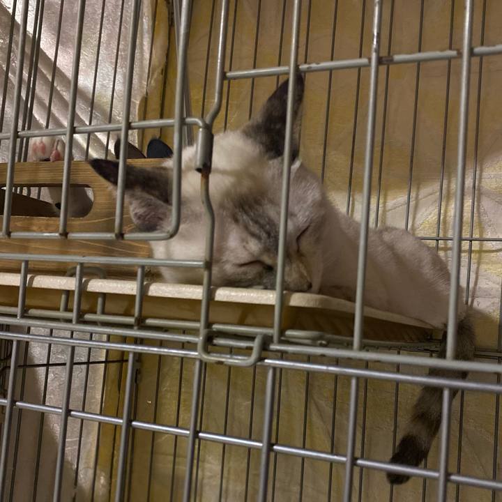 88e1244d f90f 47ba 878f 074f2146668e 1663506403785