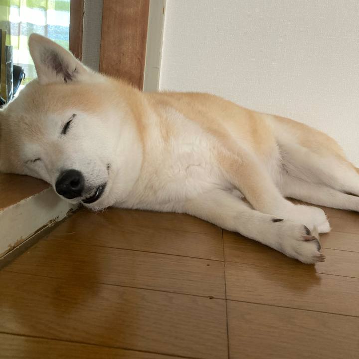 88e1380d 914b 41cd 9963 058e271e7450 1667485175476