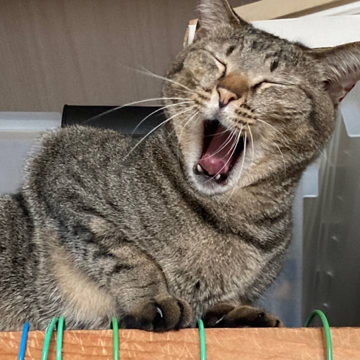 88e145b4 1c75 4ae5 b060 93f0c33671b0 1764198014817