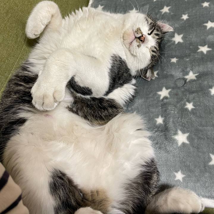 88e145bf 247b 4935 aa3c 9117e031783e 1677283742963