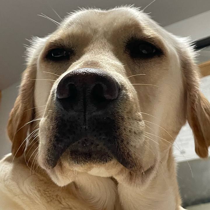 88e149ab f0ae 4515 a464 e3e5a23cd102 1645878226187