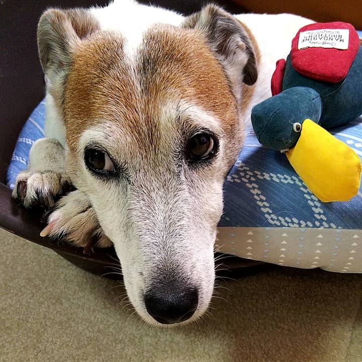 88e172ed 8e2f 4ff2 a2b1 d2b4510bcd6e 1595426646184