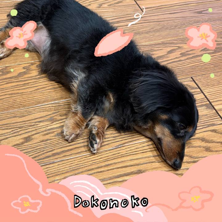 88e17438 277b 41de 900d d100b1d2d75b 1775870644246