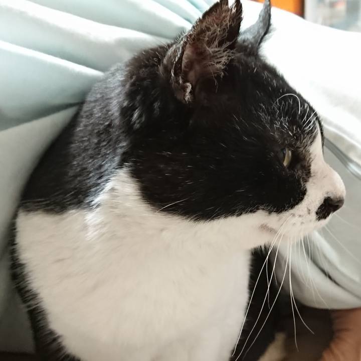 88e18bc1 278e 4919 b5db a68420d062ed 1671494109838