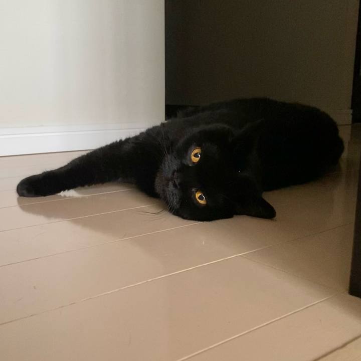 88e1a867 7567 484c aadd 0b969de1bb65 1722039223314