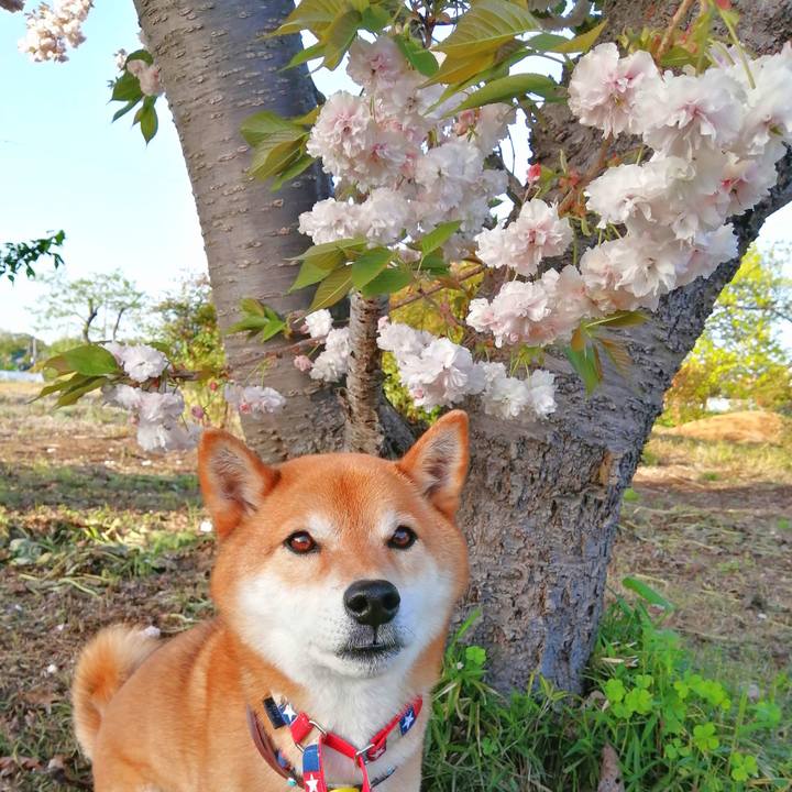 88e1cfcd 61c4 47ff 876e b6a7946683d4 1650617024973