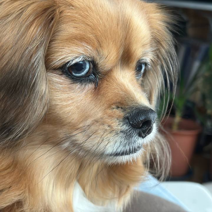 88e1d9b3 15e0 40de abe8 2b6488de7cb8 1736894682981