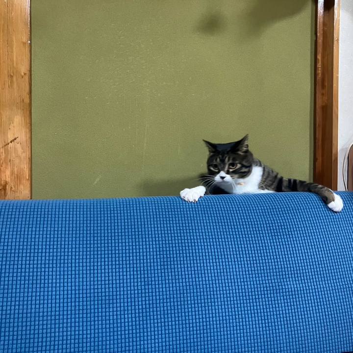 88e211f2 8818 4b5c 944d 5974cd623f13 1764289502256