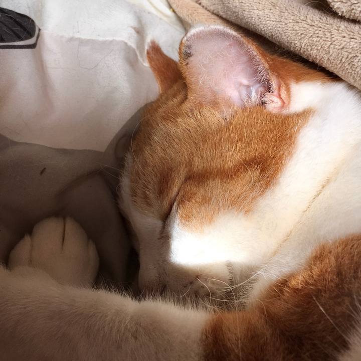 88e2658c dbe9 4f91 a9ec 4838841253da 1577273934591