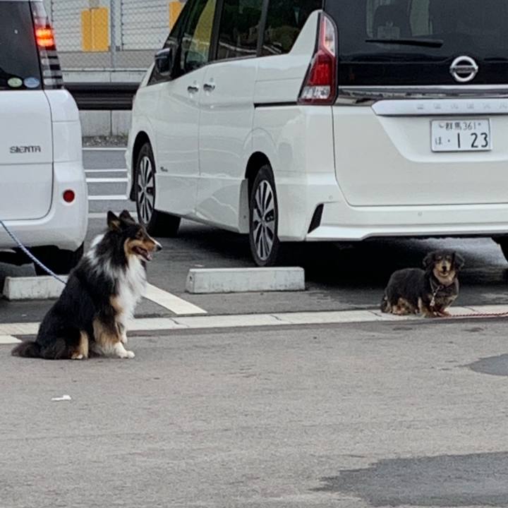 88e26bd3 5338 47a1 8d56 0456da7db602 1556745711760