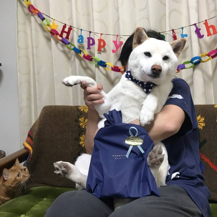 88e29fd0 3f3a 4805 8a18 33269219f83f 1585391891456