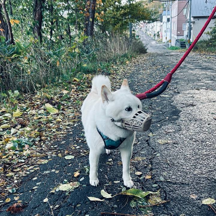 88e2b618 dc43 4cb1 b616 fb609d086b81 1729375997344