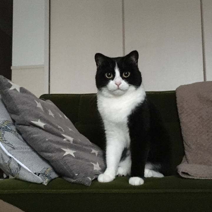 88e2d636 8a34 4bfa b7a0 efc091932595 1602279932191