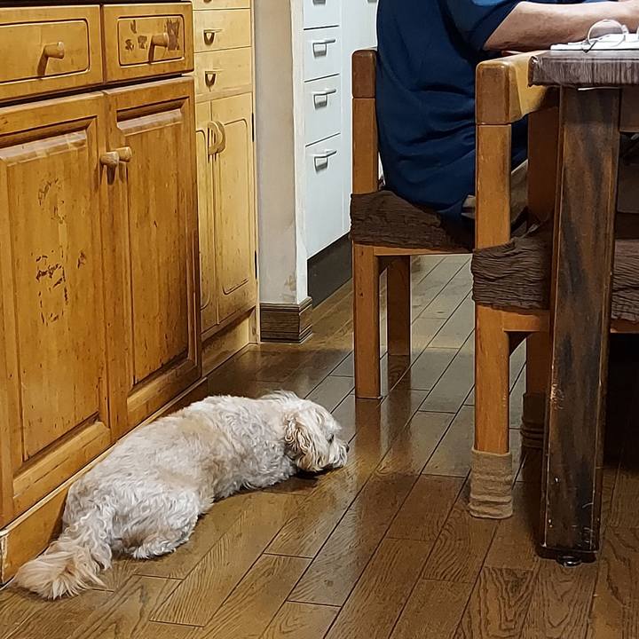 88e2eddc 07bc 4a51 8dd7 21e80e55e0a6 1661596641794