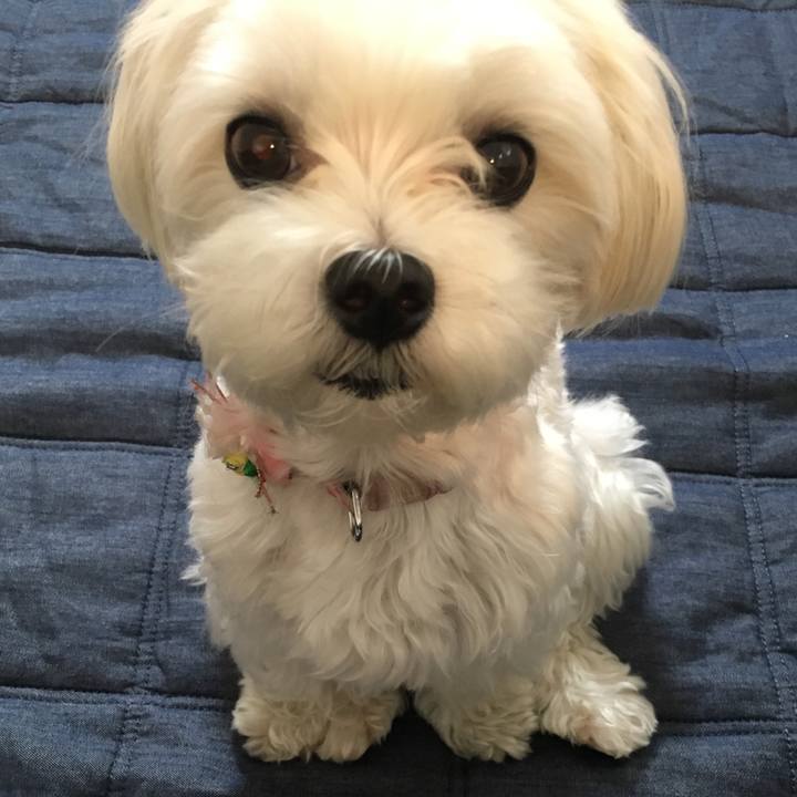 88e2efcc e02e 49d7 a4f3 6e94bcde04d6 1510546679430