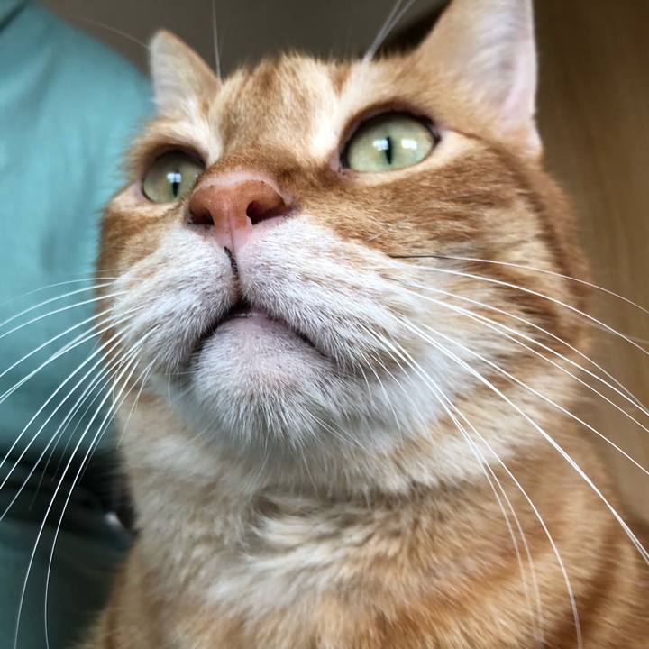 88e32fd0 e2b8 40e3 a708 6d0064b4e156 1625900512745