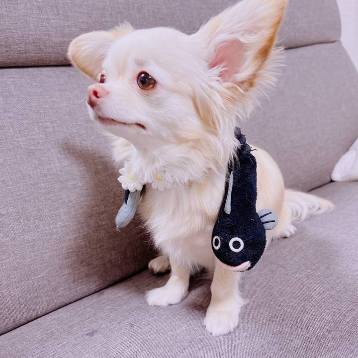 88e33066 0128 402a a270 2de5fcea8817 1680497729492