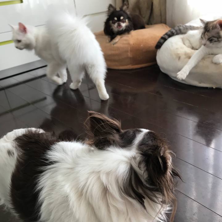 88e33533 8a94 4bb1 8533 6da3ebe6cebd 1523793029397