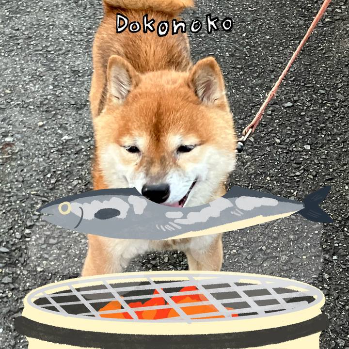 88e37edf 2026 4ee3 8315 45593bacd235 1761264575806