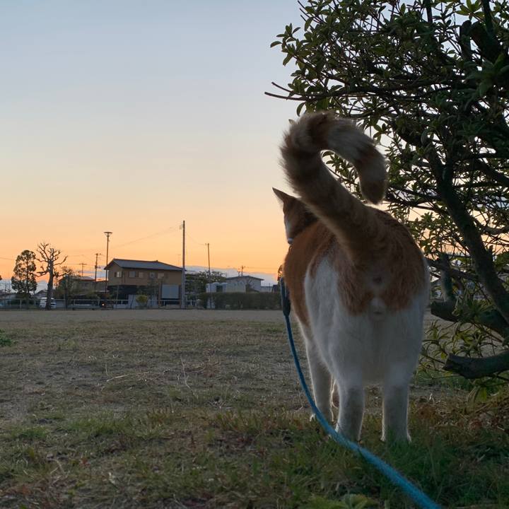 88e3ab5b b740 4d52 9e7e 27eaa9bb0fa3 1586514992222