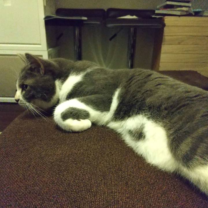 88e3ac42 eea6 433a bd79 08ef294ac020 1626435100070