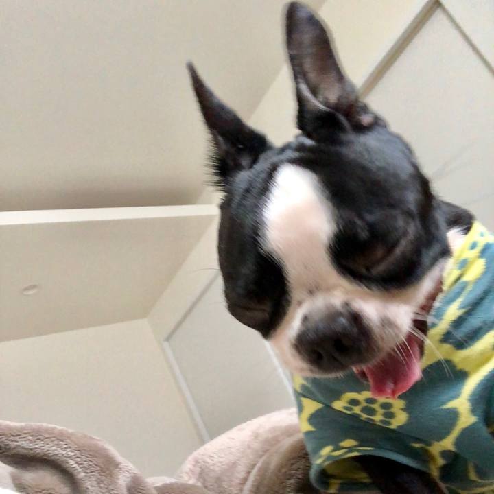 88e3b325 4328 464a 95c4 41a8ee118cb1 1517034094216