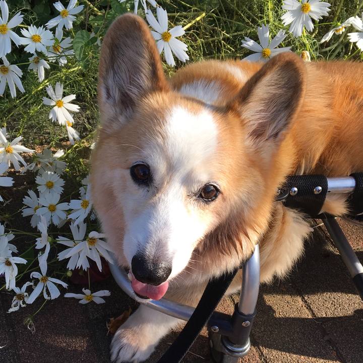 88e4325d dc0e 4f53 a590 5372bf1b24bd 1613867888429