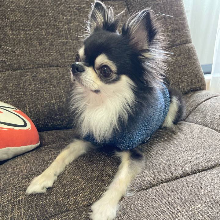 88e44ce2 3c3a 4c68 9d23 e03323da2a5d 1704278338444