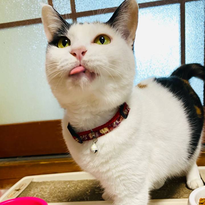 88e44da0 070a 43a3 b624 bedb9544a6bd 1668331101107