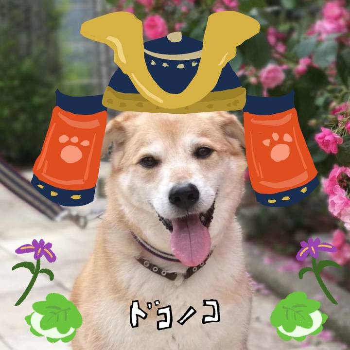 88e48cf5 89ee 491b 9fca a926592189c9 1714881104142