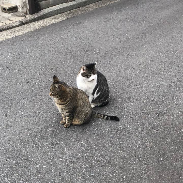 88e49a2c 154d 480e 8d12 8a1040eac0e5 1520653269784