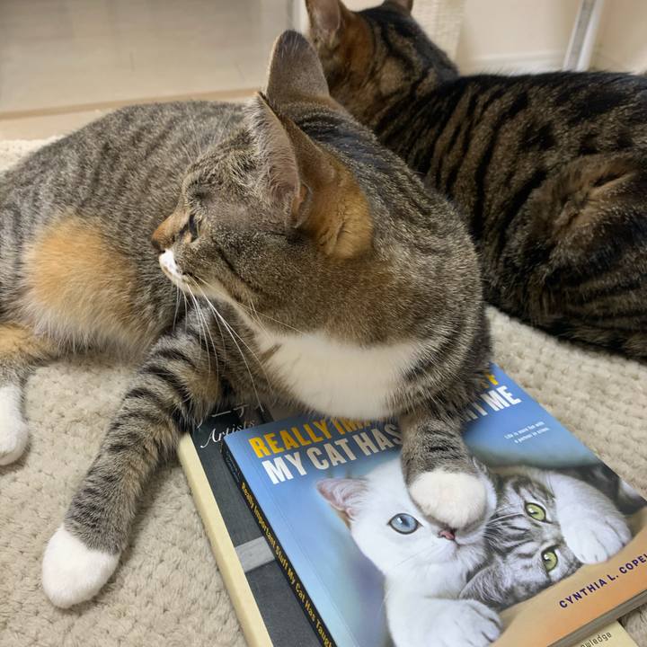 88e4b152 21fa 476c 91b4 00ba783e7158 1616940889777