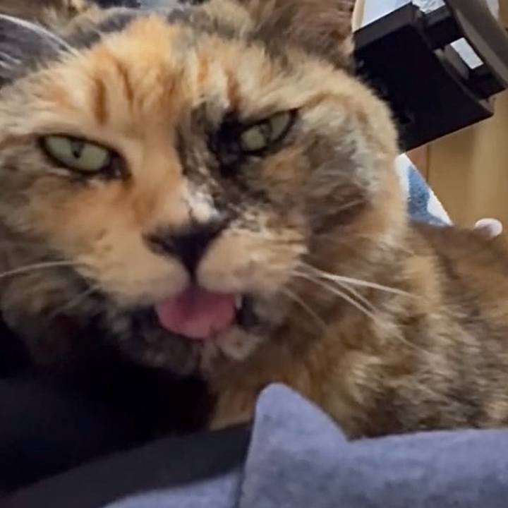 88e4c034 7220 4844 b1a5 bb278e051bd1 1773916699396