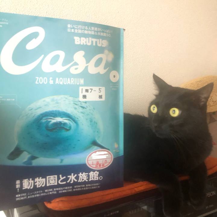 88e50afb 2e52 42d6 8f13 884f41740d52 1568938849365