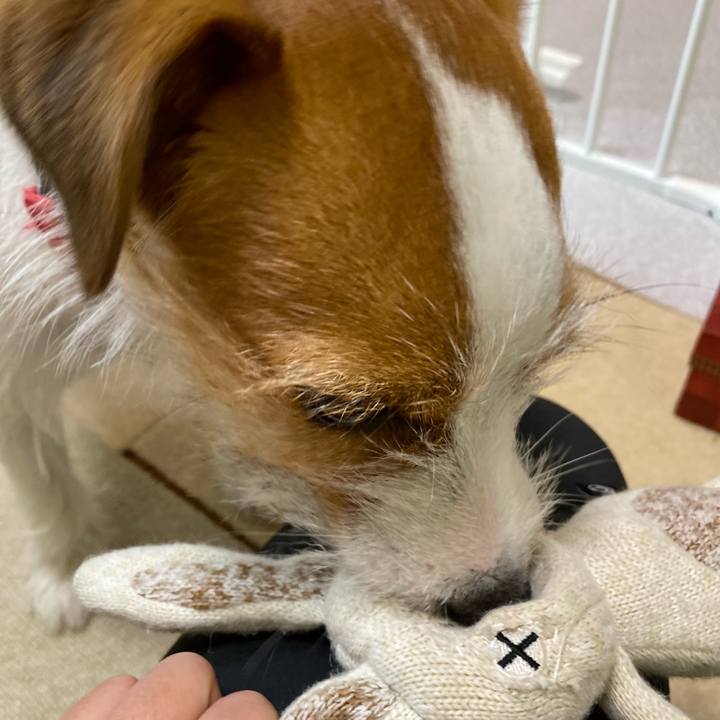 88e522cf 3333 4be7 a115 cc3c575f9377 1659140247732