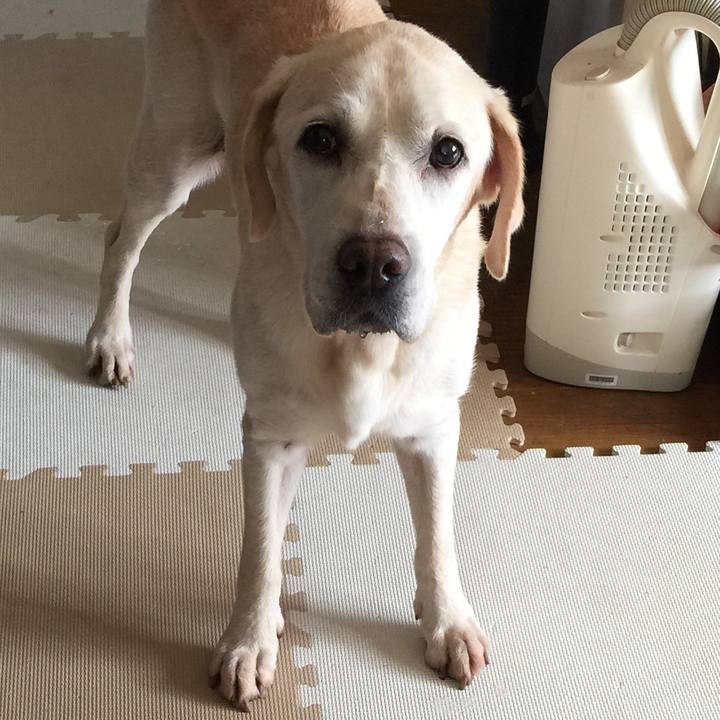 88e5800a f3aa 468f 8dd5 5ba8867fecd6 1538306152071